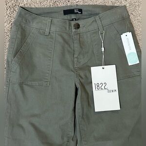 NWT 1822 Denim Ankle Skinny Olive pants, Stitch Fix